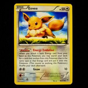 Eevee XY 080 English (LP)