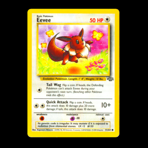 Eevee Jungle English (LP)