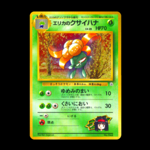 Erika's Gloom Japanese (VLP)