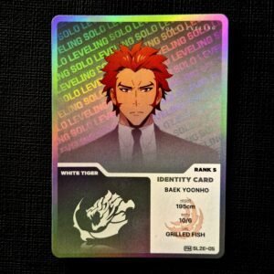 Baek Yoonho IDENTITY CARD SL2E-05 Solo Leveling Mapniverse (NM)