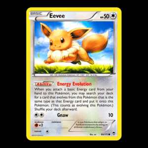 Eevee XY 80 English (LP)